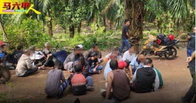 61岁长者  也吸毒       反毒机构3天捕94人