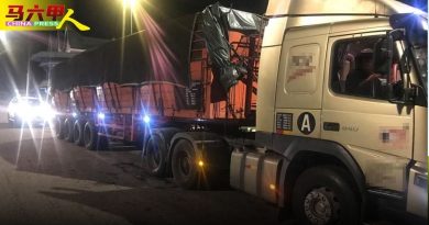 未更新路税保险 豪华车   遭充公