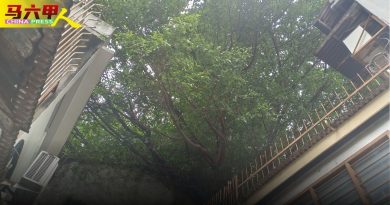 空置老屋像小森林  刘志俍促检讨产业条例应对