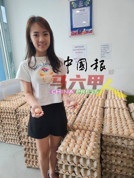 林凯欣:甘榜蛋促销活动带来多赢局面。