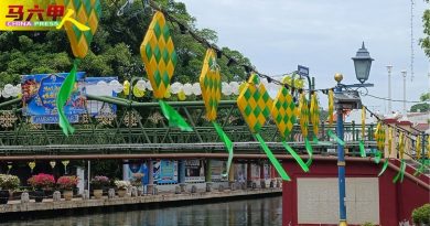 挂上星月马来粽灯饰 巴刹桥开斋节气氛浓