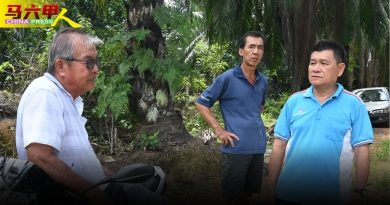 河水污染何时了？     农作物屡被“栽死”    菜农放弃了