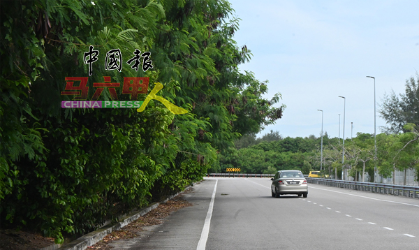 ■树干延伸至路中，驾驶人士看不清前方转弯处车辆或路人，容易发生意外。