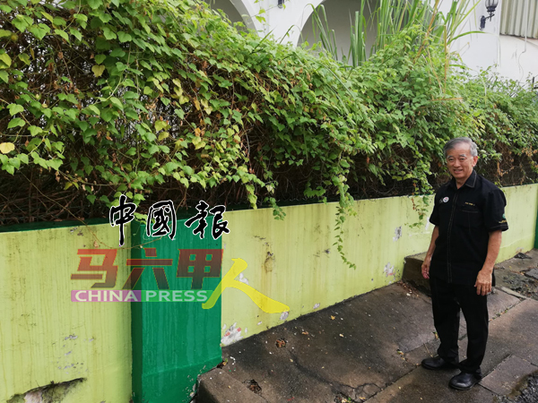 陈劲源查看前国际学校四周的野草。