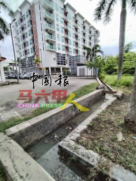 沟水滋生蚊虫,令附近商民大受困扰。