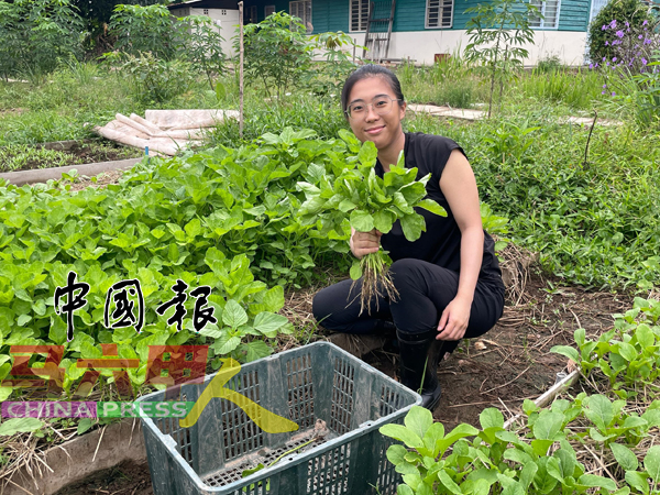 ■黄靖萍很感恩有机会亲身见证农场每步成长和改变。