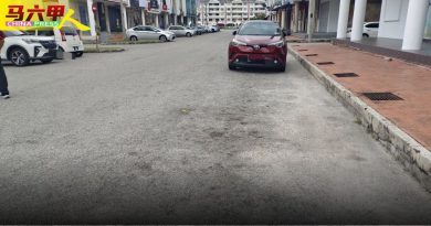 商家 车主投诉看不清  泊车格白线   该重划了