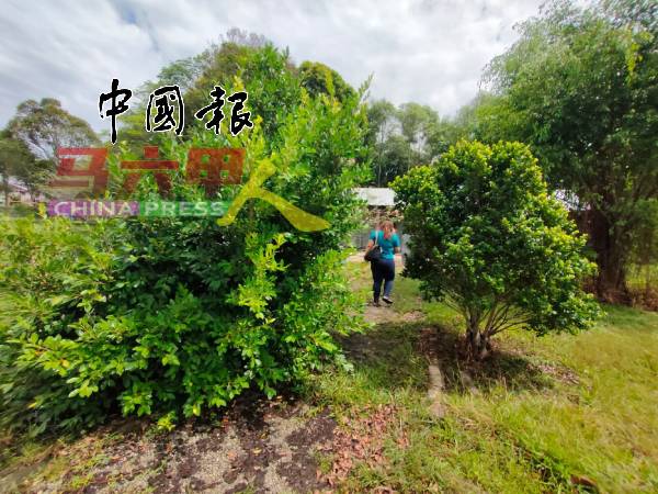 公园的步道已看不清。