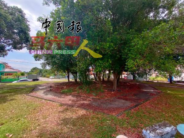 原让八卦气功会员练功的“八卦阵”，在疫情之后经变成一座小树林。