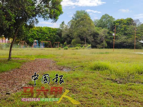 草场没有定时修割，杂草长得高，居民无法在草地上活动。