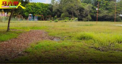 今日马六甲头条｜公园长草  水压低  非法飙车 金谷镇民生问题一箩筐