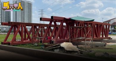 1 Lagenda花园河畔   跨河桥  桥身运抵