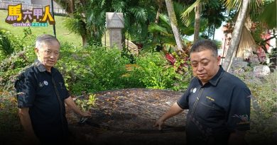 今日马六甲头条〡逾百年历史 甲第一个 水库集水池遗迹 “隐身”野草丛