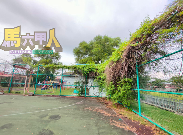 ■室内球场围篱被野草攀附。