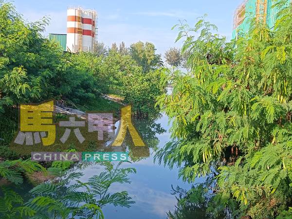 排洪沟两旁及中央都长满植物，导致沟水停滞不前，影响排水的效果。