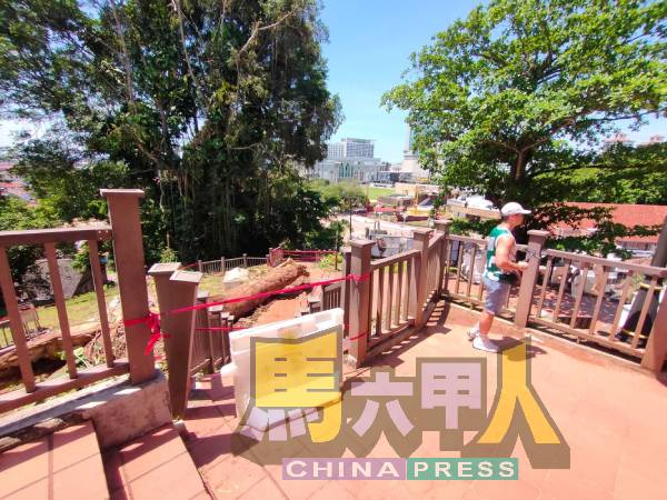 当局以路障阻止游客通往树倒处。
