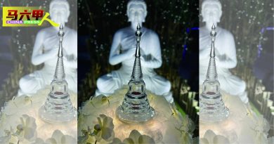 佛教居士林庆佛诞 12日佛前大供浴佛法会
