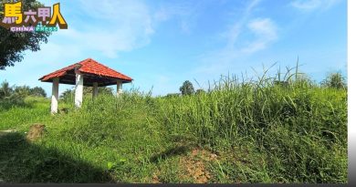 榴梿洞葛沿河步道 杂草丛生   凉亭破损