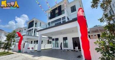 Bachang Villas 三层独立洋房 一推介半数被预订