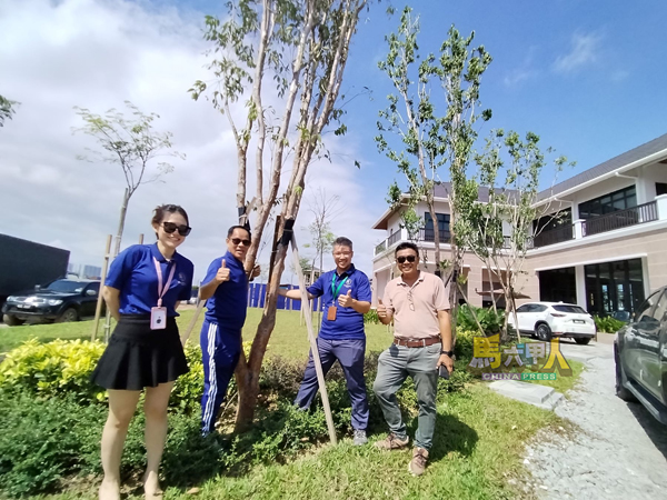 ■Bachang Villas种植了多棵美丽的树木，让整个住宅区绿意盎然。