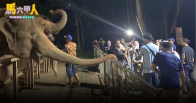 上周末景点区门票优惠 700人夜游甲动物园