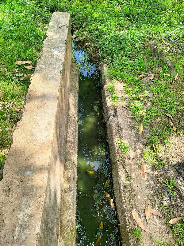 ■来自住宅区的沟水无沟排出,如同死水。