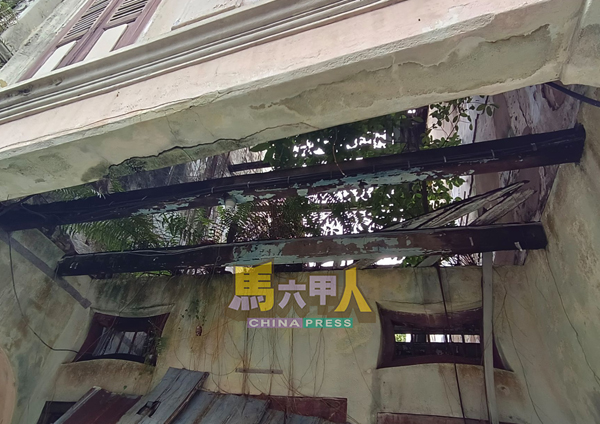 ■老建筑的结构破损,且生长小树。