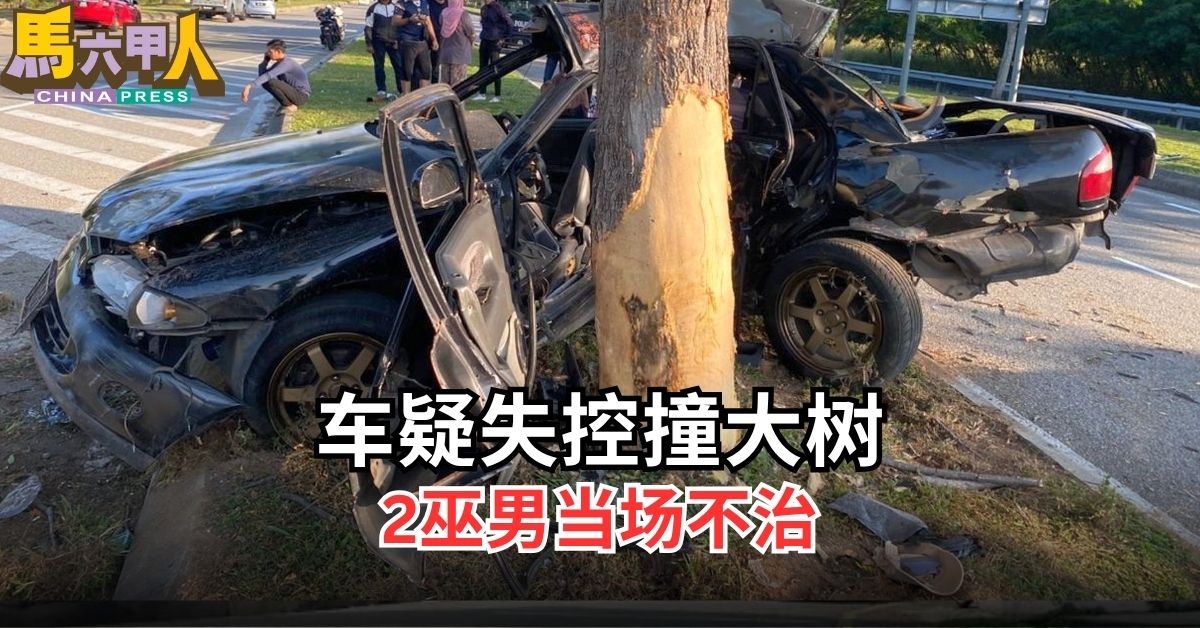 车疑失控撞大树 2巫男当场不治