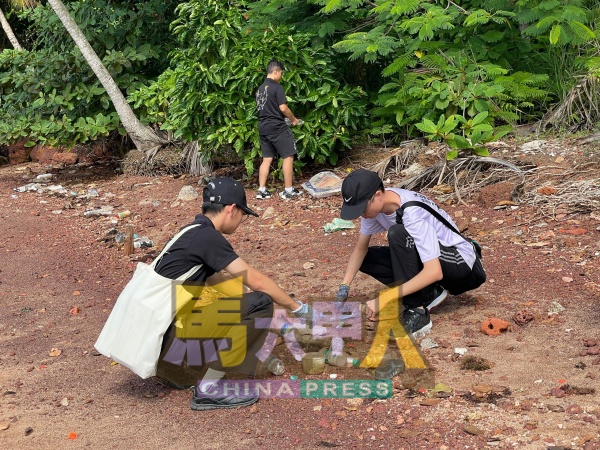 马六甲培风中学学生分工合作清理乌贝岛上的垃圾,为玳瑁龟打造安全洁净的产卵环境。