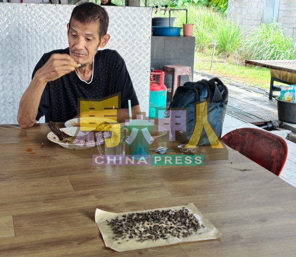 大批“苍蝇军”袭击甲郊区野新新邦木阁小贩中心一带,不仅吓跑食客,更令附近约2000名商家及居民的生意及生活大受影响。