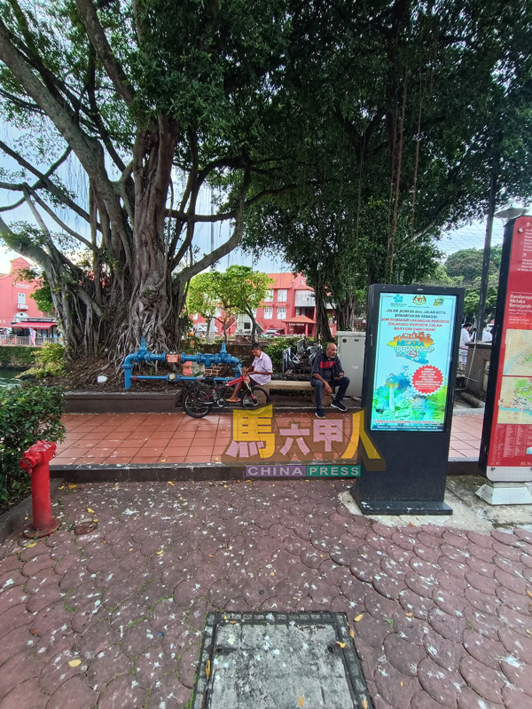 ■鸟粪遍布市区各处,严重污染市容,威胁环境卫生,亦对公众健康构成隐忧。