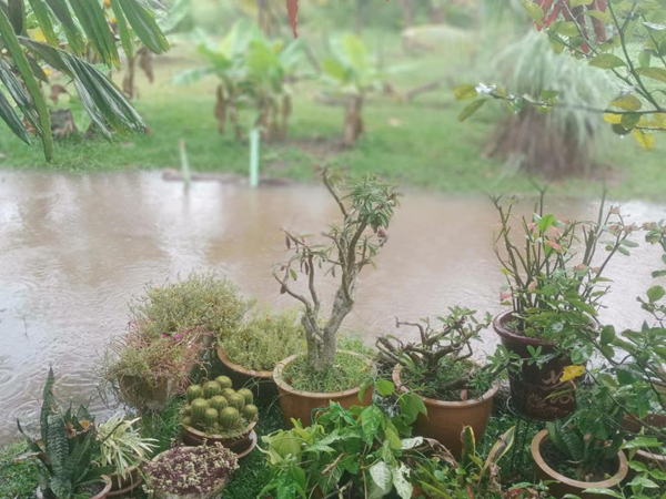 ■在下大雨时,土沟很快满溢淹没农地。(受访者提供)