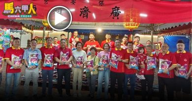 乞龟法会圆满落幕 保安宫  派4000包福米