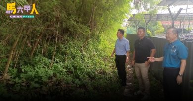 华小旁荒地变丛林 蛇狸闯校   留蛇皮、粪便
