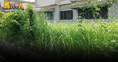 空地盖帆布阻长草 居民忧积水生蚊