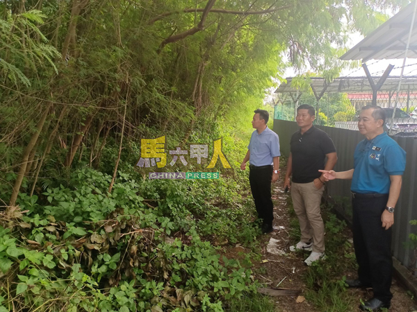 空地已沦为一片丛林,右起为沈劲杰校长、周志明及蔡求伟。