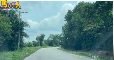 甲州议会｜拟3措施解决 土地闲置 首长：杜绝“人造森林”