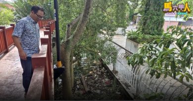 甲河红树林垃圾堆积煞风景 议员吁援引新法   严惩乱丢垃圾者