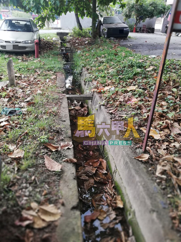 沟渠积水容易滋生蚊虫。