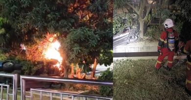 飞撞路礅大树 轿车起火 2华青及时获救！