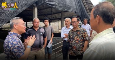 今日马六甲头条〡甲20家农场有意复养猪    邱培栋：农业部将协助