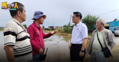 林万锋吁商家把握良机 向外宾推广本地产品