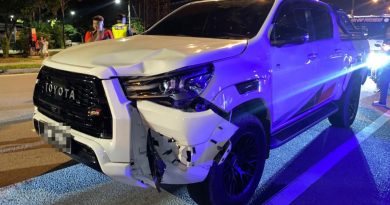 拄拐杖过马路 华裔阿嬷遭货卡撞毙