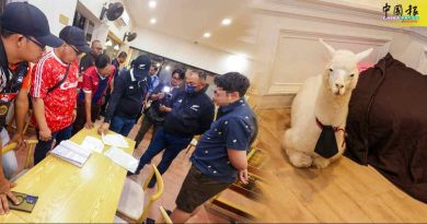 餐馆变迷你动物园 罚1万 关7天！业主：我其实很爱它们