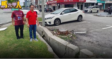 沟渠受树根破坏崩塌 恐影响排水功能