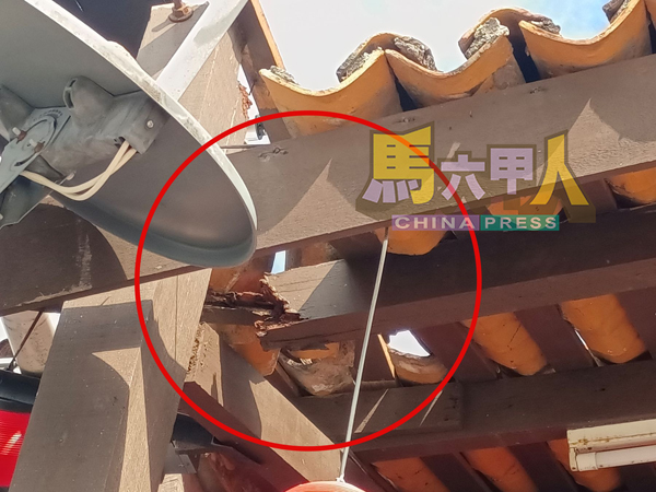 ■屋顶木条已有腐烂迹象,若迟迟不维修,恐影响整体建筑结构。
