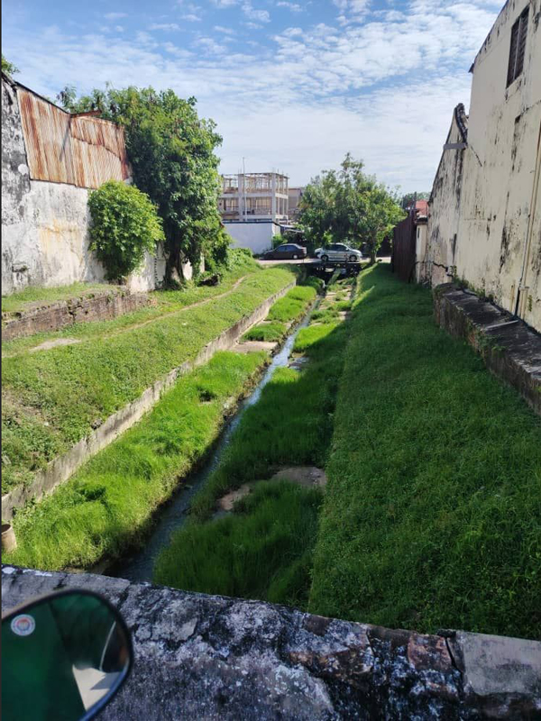 ■排水沟相信是长期没清理，长成一片“青草地”。