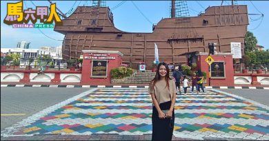 善用 海上花博物馆 潜力  林朝雁促拓多元旅游路线