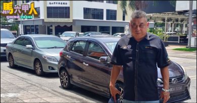 挖除树根重铺地砖 人行道平整安全了