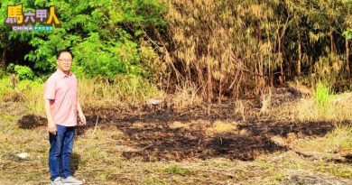男子纵火烧丛林　民众及时报警阻灾于未然